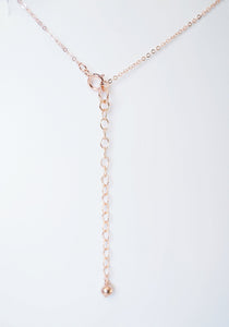 Tiny Rose Gold Coin on Rose Gold Necklace (Carey) 