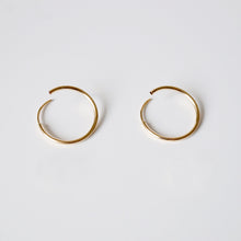 Load image into Gallery viewer, Rose Gold Small Hoop Earrings (Miro) 